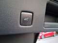 Ford Kuga Kuga 2.5 Full Hybrid 190 CV CVT 2WD ST-Line X Gris - thumbnail 12