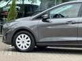 Ford Fiesta 1.0 EcoBoost Connected 5drs 2023 1e eigenaar Grau - thumbnail 22