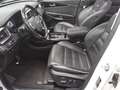 Kia Sorento 2.2 CRDI 4WD GT Navi LED Leder Pano RfK Weiß - thumbnail 8