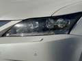 Lexus CT 200h Business Line Dealer Onderhouden Blanco - thumbnail 7