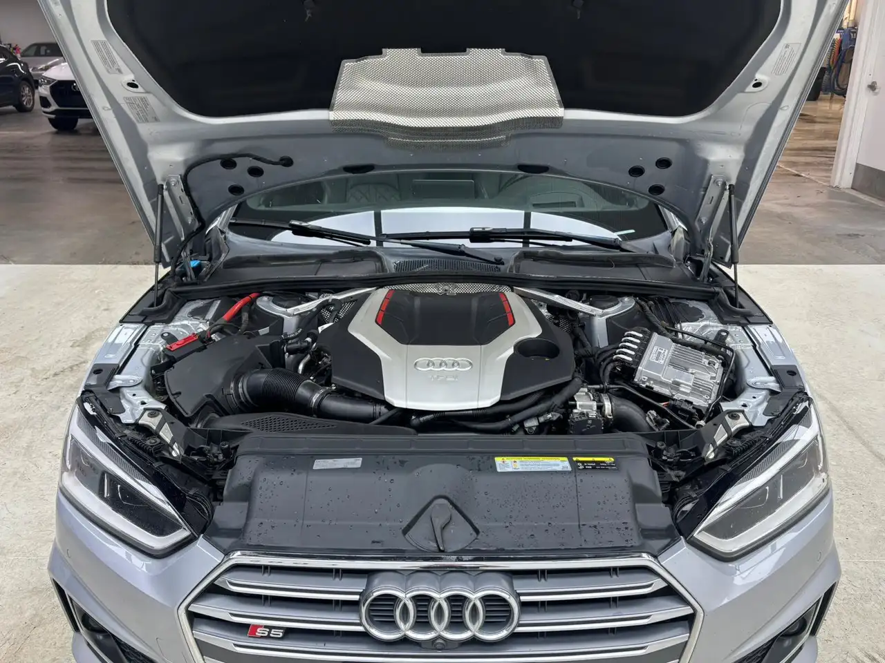Audi S5 fotografie Audi S5