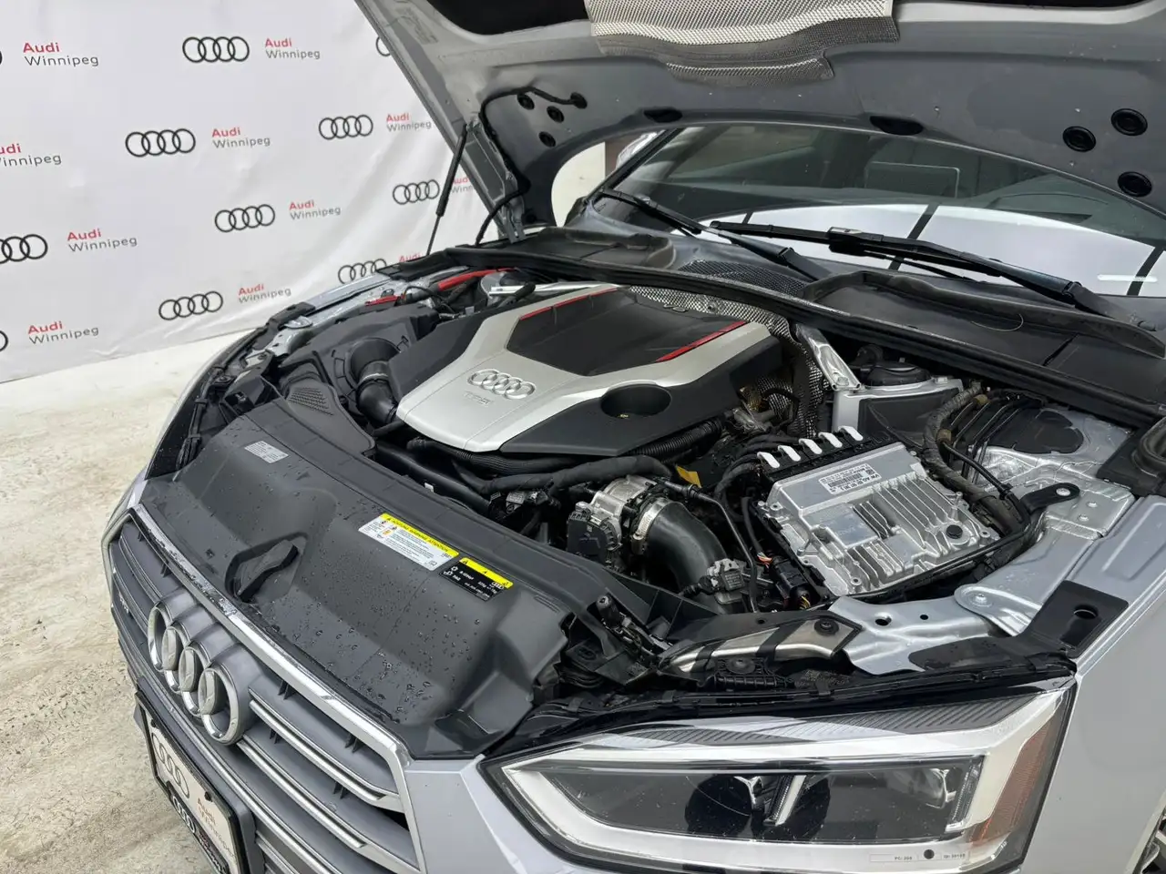 Audi S5 fotografie Audi S5