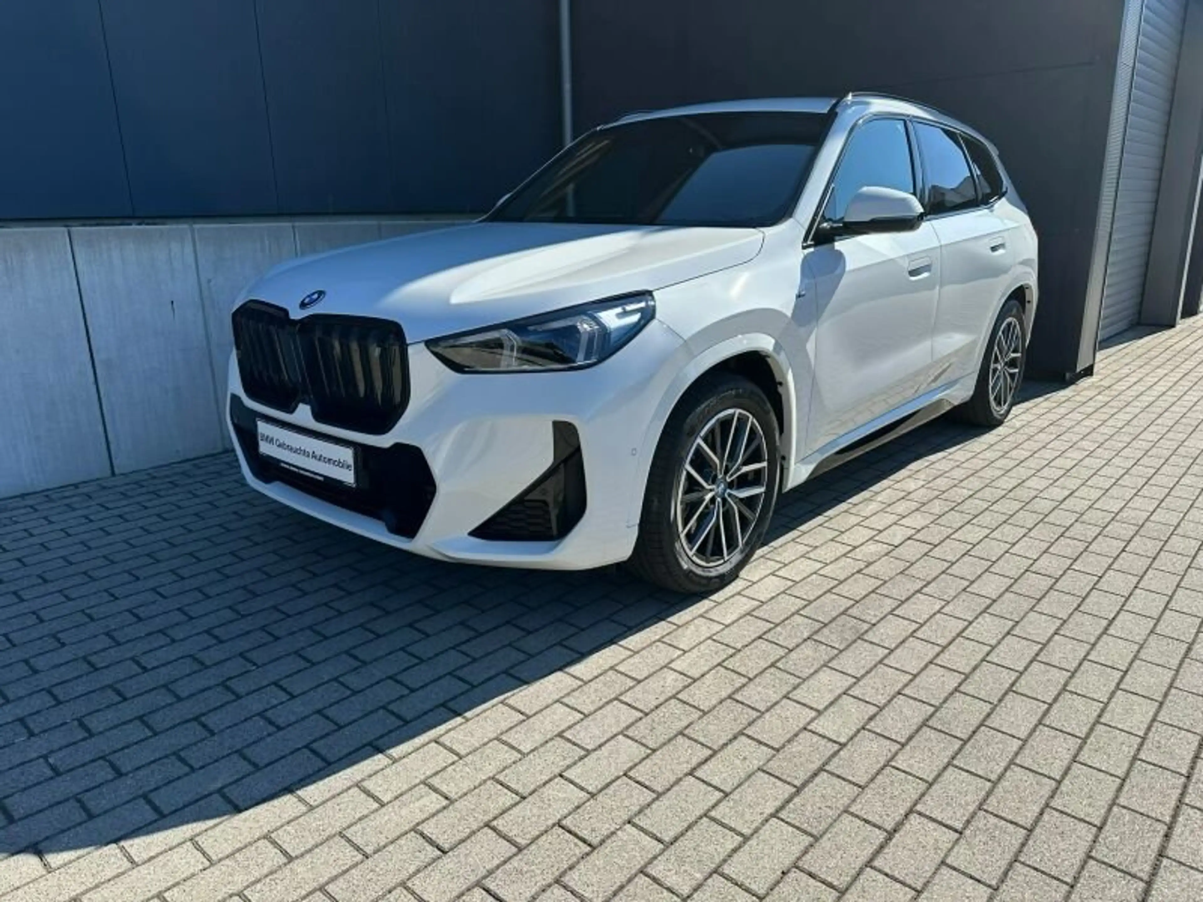 BMW iX1 xDrive30 M Sport AHK/LED+/HUD/A-SITZ/360CAM — photo 3