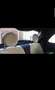 Fiat 500 1.0 hybrid Rockstar 70cv - thumbnail 9