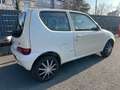 Fiat Seicento Vintage **Klima** Beige - thumbnail 4