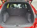Ford Kuga Hybrid ST-Line X *Pano*Kamera*Headup*StylingPaket* Rouge - thumbnail 15
