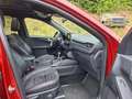 Ford Kuga Hybrid ST-Line X *Pano*Kamera*Headup*StylingPaket* Rouge - thumbnail 12