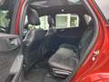 Ford Kuga Hybrid ST-Line X *Pano*Kamera*Headup*StylingPaket* Rouge - thumbnail 13
