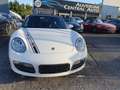 Porsche Boxster (987) 3.4 S Wit - thumbnail 2