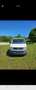 Volkswagen T6 Transporter vw pritsche - thumbnail 7