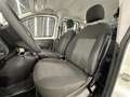 Fiat Qubo 1.3 MJT-LOUNGE-KM CERTIFICATI-12 M GARANIA-PERMUTE Bianco - thumbnail 9