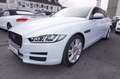 Jaguar XE 25T Portfolio *nur 8.300KM*1.Hand*TOP Ausst. Blanc - thumbnail 3
