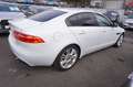 Jaguar XE 25T Portfolio *nur 8.300KM*1.Hand*TOP Ausst. Blanc - thumbnail 9