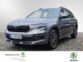 Skoda Kamiq 1.0 TSI Selection OPF (EURO 6e) Einparkhilfe Grijs - thumbnail 1
