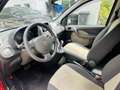 Fiat New Panda Crit air 2 Rood - thumbnail 9