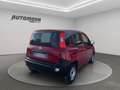 Fiat Panda VAN 1.3MJT 2POSTI Rot - thumbnail 4