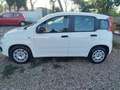 Fiat Panda 1.3 MJT 95 CV S&S Easy Wit - thumbnail 3