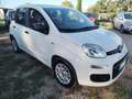 Fiat Panda 1.3 MJT 95 CV S&S Easy Wit - thumbnail 8