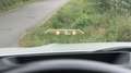 BMW 330 330e M Sport - thumbnail 20