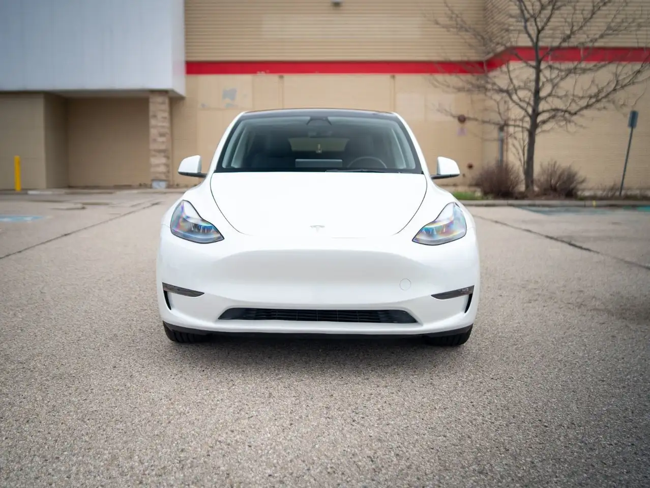 Tesla Model Y снимка Tesla Model Y