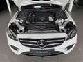 Mercedes-Benz E 350 e AMG Line LED Temp Navi 360° Alb - thumbnail 17