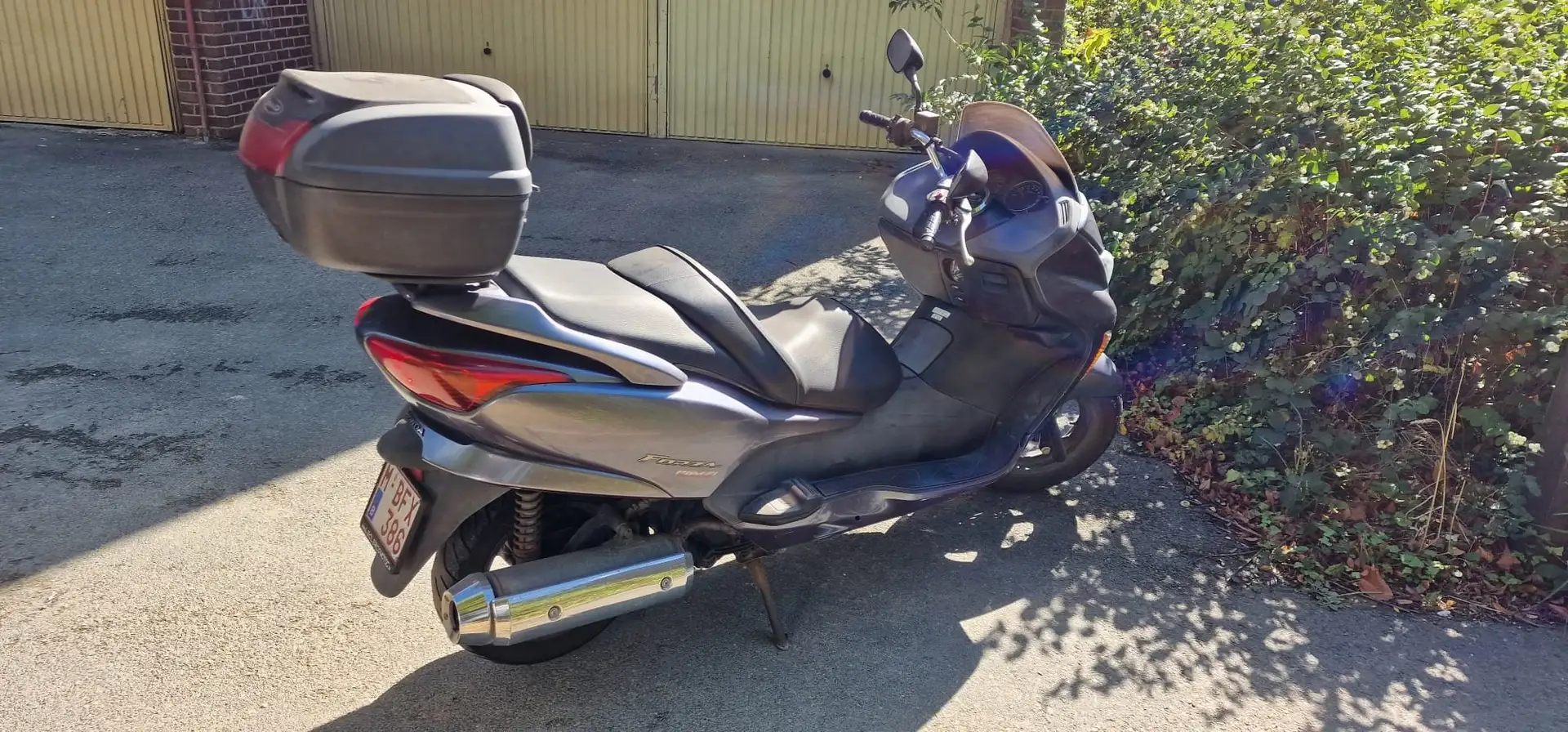 Honda Forza 250 NSS250X Fialová - 1