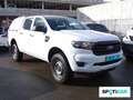 Ford Ranger 2.0 Ecoblue S&S DCb. XLT 4x4 170 Alb - thumbnail 3