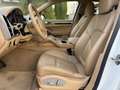 Porsche Cayenne Diesel 245 Aut. Blanc - thumbnail 13