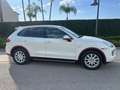 Porsche Cayenne Diesel 245 Aut. Blanc - thumbnail 3