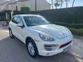 Porsche Cayenne Diesel 245 Aut. Blanc - thumbnail 1