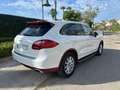 Porsche Cayenne Diesel 245 Aut. Blanc - thumbnail 4