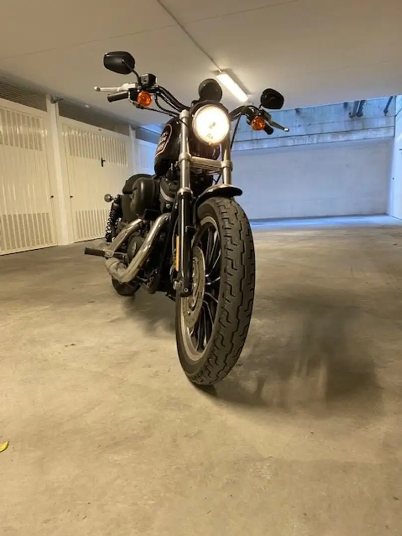 Harley-Davidson Sportster XL 883 Roadster 2007-2010 Nero - 2