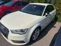 Audi A3 A3 Ambition 2,0 TDI DPF Ambition Weiß - thumbnail 4