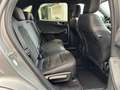 Ford Kuga Kuga 2.5 phev ST-Line X 2wd 225cv cvt Grijs - thumbnail 23