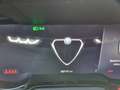 Alfa Romeo Tonale Tonale 1.6 Super 130cv tct6 Bianco - thumbnail 13