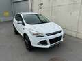 Ford Kuga 1,6 EcoBoost Trend Weiß - thumbnail 1