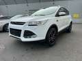 Ford Kuga 1,6 EcoBoost Trend Weiß - thumbnail 3