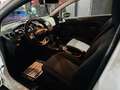 Ford Fiesta Fiesta 1.5 TDCi Utilitaire Airco Weiß - thumbnail 10