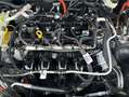 Ford Kuga 2.5 Duratec PHEV TITANIUM Blau - thumbnail 17