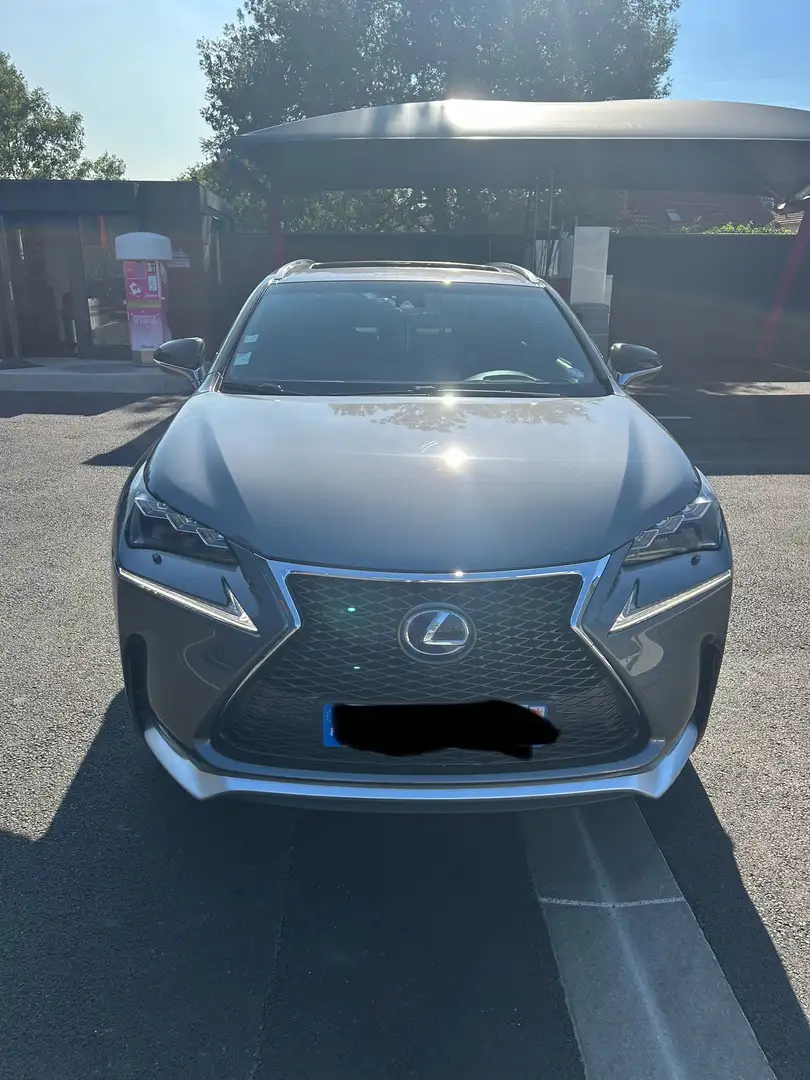 Lexus NX 300h 4WD F SPORT E-CVT - 1