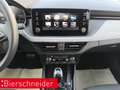 Skoda Kamiq 1.0 TSI DSG Selection LED RFK ACC Grau - thumbnail 20