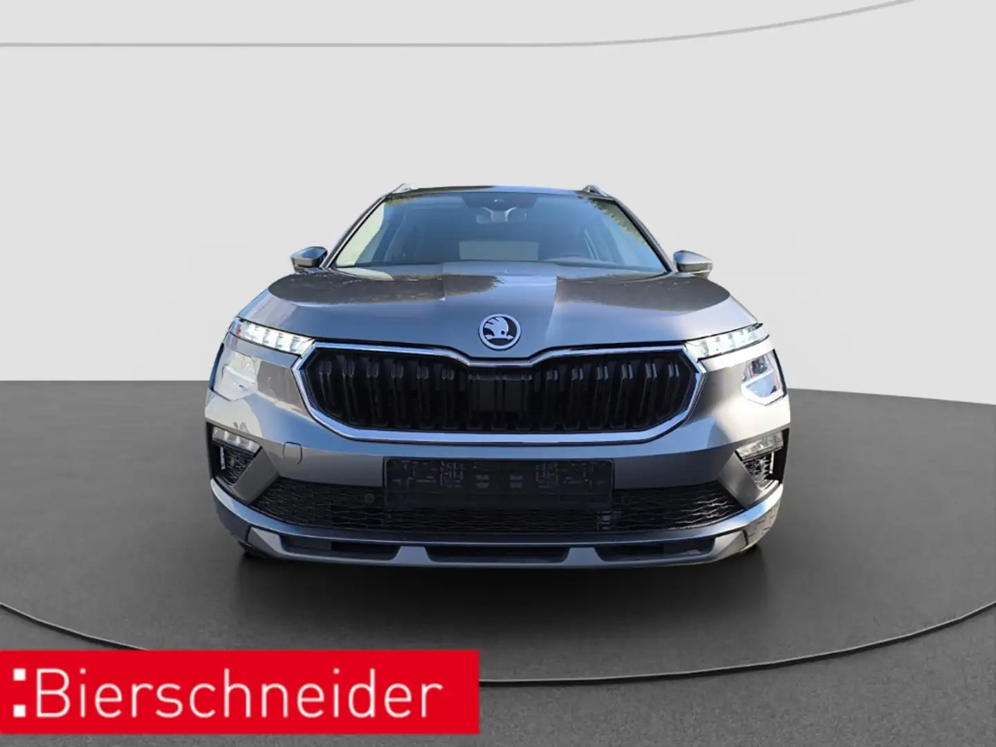 Skoda Kamiq 1.0 TSI DSG Selection LED RFK ACC Grau - 2