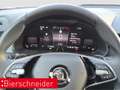 Skoda Kamiq 1.0 TSI DSG Selection LED RFK ACC Grau - thumbnail 14