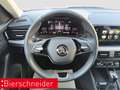 Skoda Kamiq 1.0 TSI DSG Selection LED RFK ACC Grau - thumbnail 13