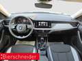 Skoda Kamiq 1.0 TSI DSG Selection LED RFK ACC Grau - thumbnail 18