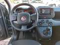 Fiat Panda 1.0 70cv E6D Hybrid City Life 5 posti Gris - thumbnail 8