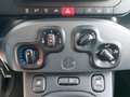 Fiat Panda 1.0 70cv E6D Hybrid City Life 5 posti Gris - thumbnail 9