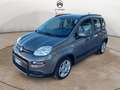 Fiat Panda 1.0 70cv E6D Hybrid City Life 5 posti Gris - thumbnail 1