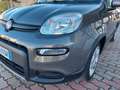 Fiat Panda 1.0 70cv E6D Hybrid City Life 5 posti Gris - thumbnail 13