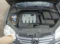 Volkswagen Golf Plus 1.9 tdi Comfortline dpf - thumbnail 10